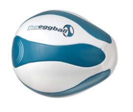 Ein Rugbyball mit blau-weißen Mustern und der Aufschrift 'The Eggball'